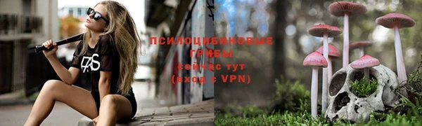 ALPHA PVP Абаза