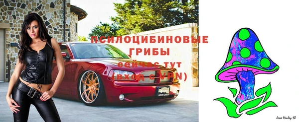 первитин Алексин
