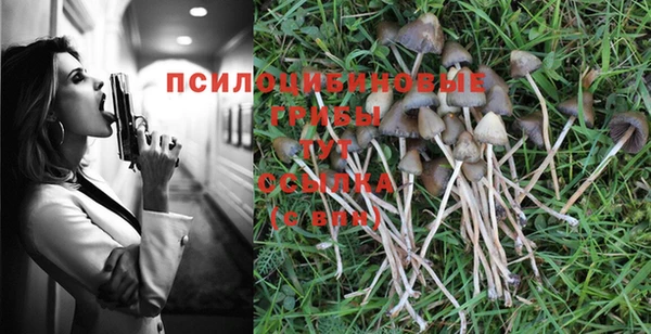 таблы Алзамай