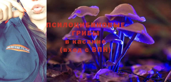 меф Осинники